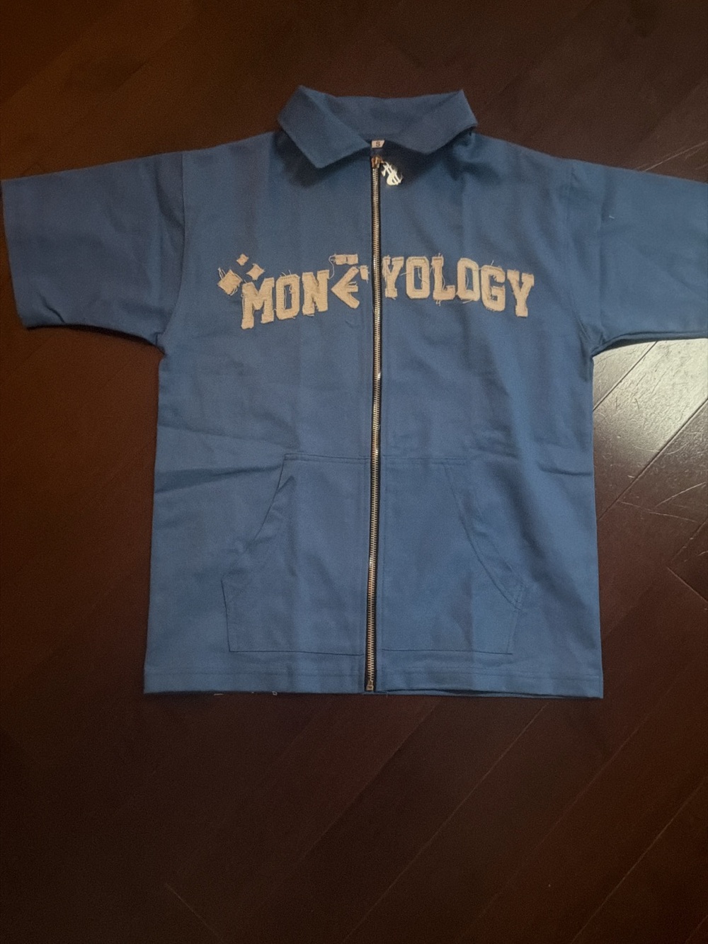 Kids Blue Zip-Up Short Sleeve Hoodie with Chest Graphic